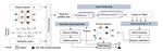 Fairify: Fairness Verification of Neural Networks